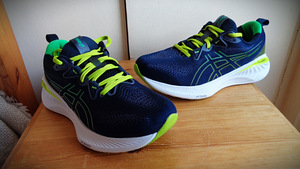 Р.43-43.5 ( 27.5 см) - ASICS Gel CUMULUS* 25 active run (5 фото из 9)