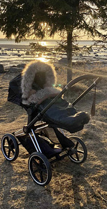 Cybex Priam (8 фото из 8)