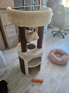 Kassi maja ja voodi (2 foto / 4)