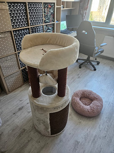 Kassi maja ja voodi (4 foto / 4)
