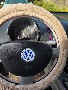 Wolkswagen New Beetle (7 фото из 9)