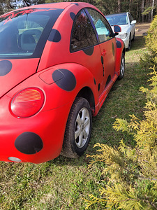 Wolkswagen New Beetle (4 фото из 9)