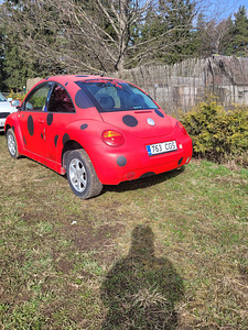Wolkswagen New Beetle (8 фото из 9)