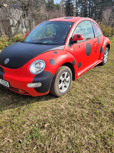 Wolkswagen New Beetle (5 фото из 9)