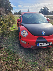 Wolkswagen New Beetle (1 фото из 9)