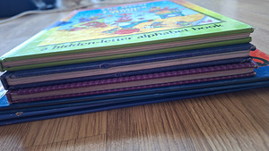 Ingliskeelsed laste nuputamis raamatud (4 foto / 4)