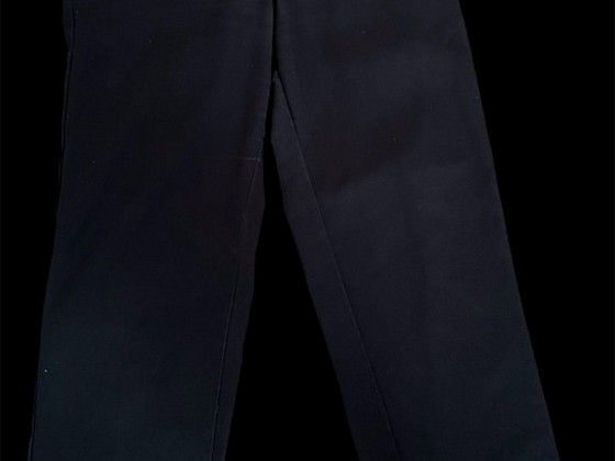 Pants DICKIES