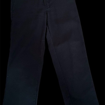 Pants DICKIES