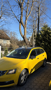Taksoteenuse auto rent (Bolt / Uber / Forus) Skoda CNG (3 foto / 3)