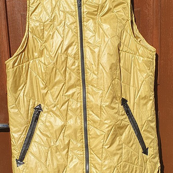 Naiste vest