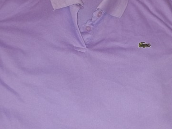 T särgid LACOSTE