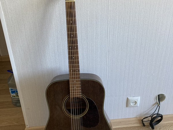 Fender Newporter