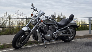 Harley-Davidson V-Rod 2003 anniversary (3 foto / 3)