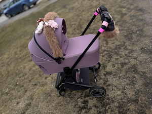 Nagu uus Carrello jalutuskäru / vanker 2in1 (1 foto / 6)