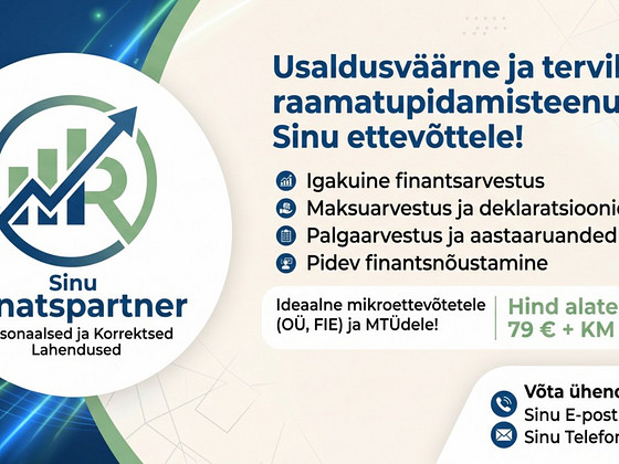 Raamatupidamine