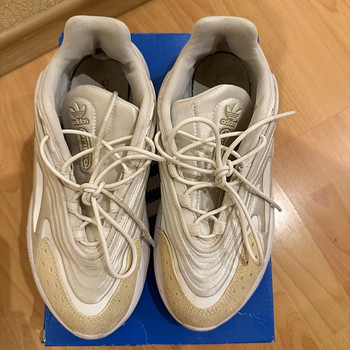 Adidas Ozelia tossud