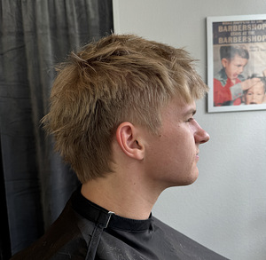 Barber. Meeste juukselõikused, Pae piirkond (2 foto / 9)