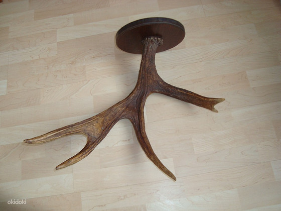 Рога