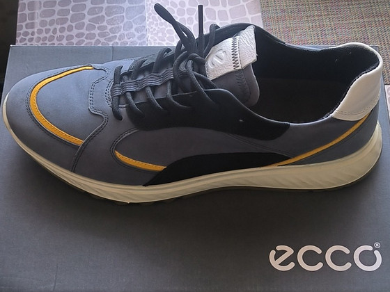 Ecco tossud
