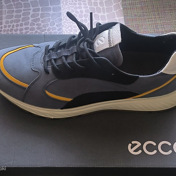 Ecco tossud