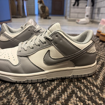 Nike dunk