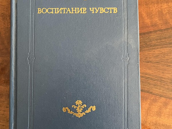 Gustave Flaubert "Tundekasvatus"