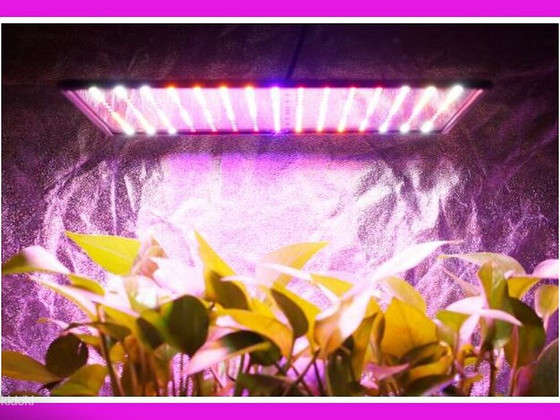 Ультратонкая светодиодная LED-лампа для растений (4 цвета)