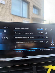 Peugeot 3008 (10 фото из 11)