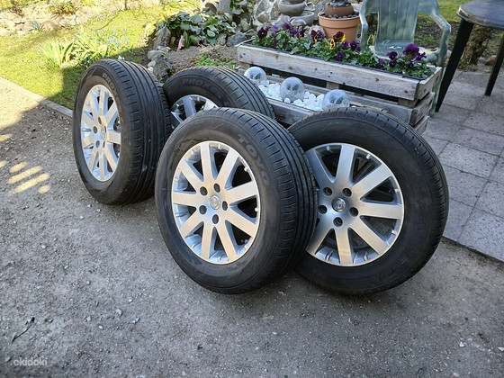 Veljed