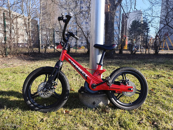 Laste jalgratas 18'