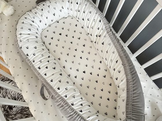 Beebi pesa