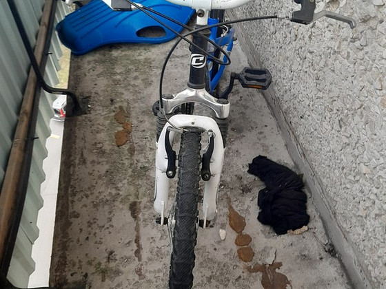 Jalgrattas