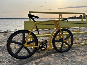 VIKS GT LAUNCH EDITION (1 фото из 7)