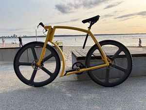 VIKS GT LAUNCH EDITION (4 фото из 7)
