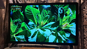 Televizor (2 foto / 5)