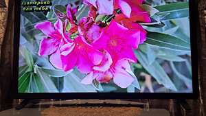 Televizor (3 foto / 5)