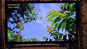 Televizor (4 foto / 5)