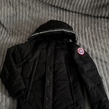 Canada goose, koopia
