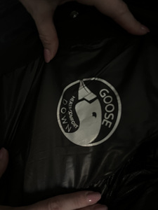 Canada Goose,копия (4 фото из 5)