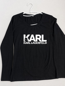 Karl Lagerfild (1 фото из 1)
