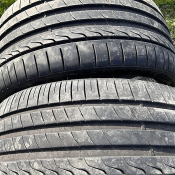 255/30/R20 Minerva Radial F205