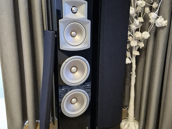 Yamaha NS-555