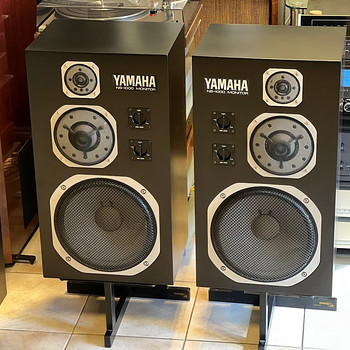 Yamaha NS-1000M