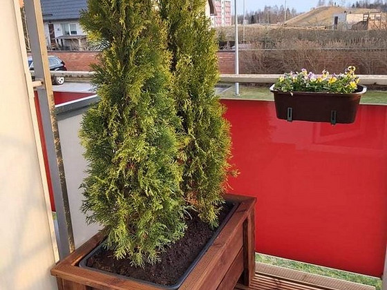 Lillekast plastikust sisuga