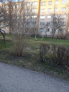 Narva mnt 28, Jõhvi, Jõhvi vald, Ida-Virumaa (9 foto / 24)