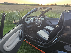 Smart fortwo cabrio (9 foto / 9)