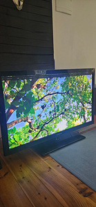 Samsung televiisor (1 foto / 6)