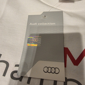 Audi Sport DTM Champion 2011 T-särk (6 foto / 8)
