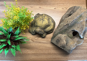 Terrariumi sisustus (1 foto / 2)