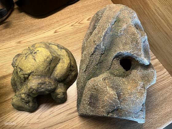 Terrariumi sisustus
